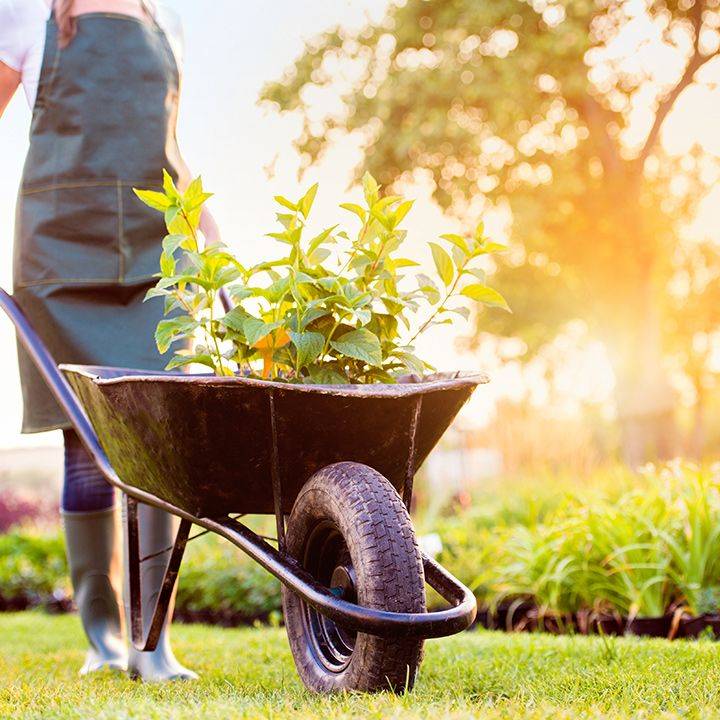 Jardinage à domicile